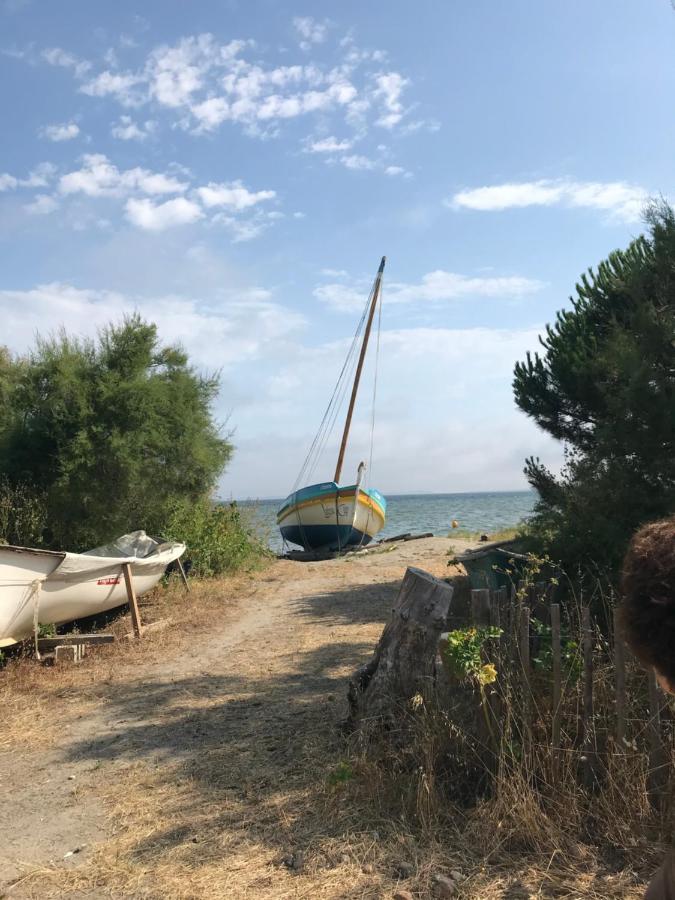 Le Gite Des Tontons Saint-Laurent-de-la-Salanque Luaran gambar